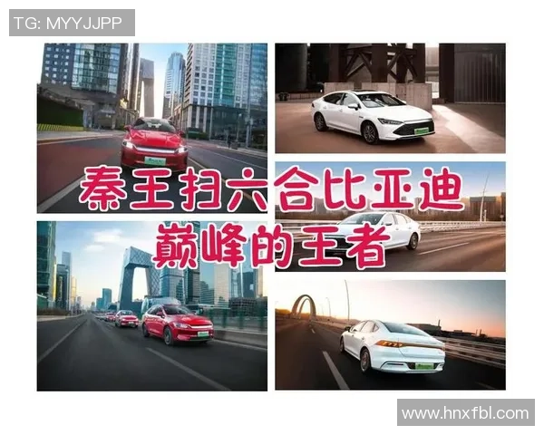 韩国足球明星崛起之路 揭示世界舞台上的新传奇